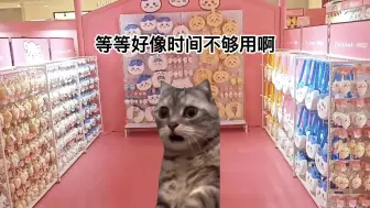 Download Video: 【猫meme】chiikawa快闪极限15分钟