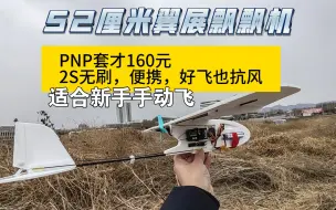 Download Video: 52厘米翼展飘飘机，PNP160元，，2S无刷动力，好飞耐炸，适合新手练习手动飞行的小飞机。