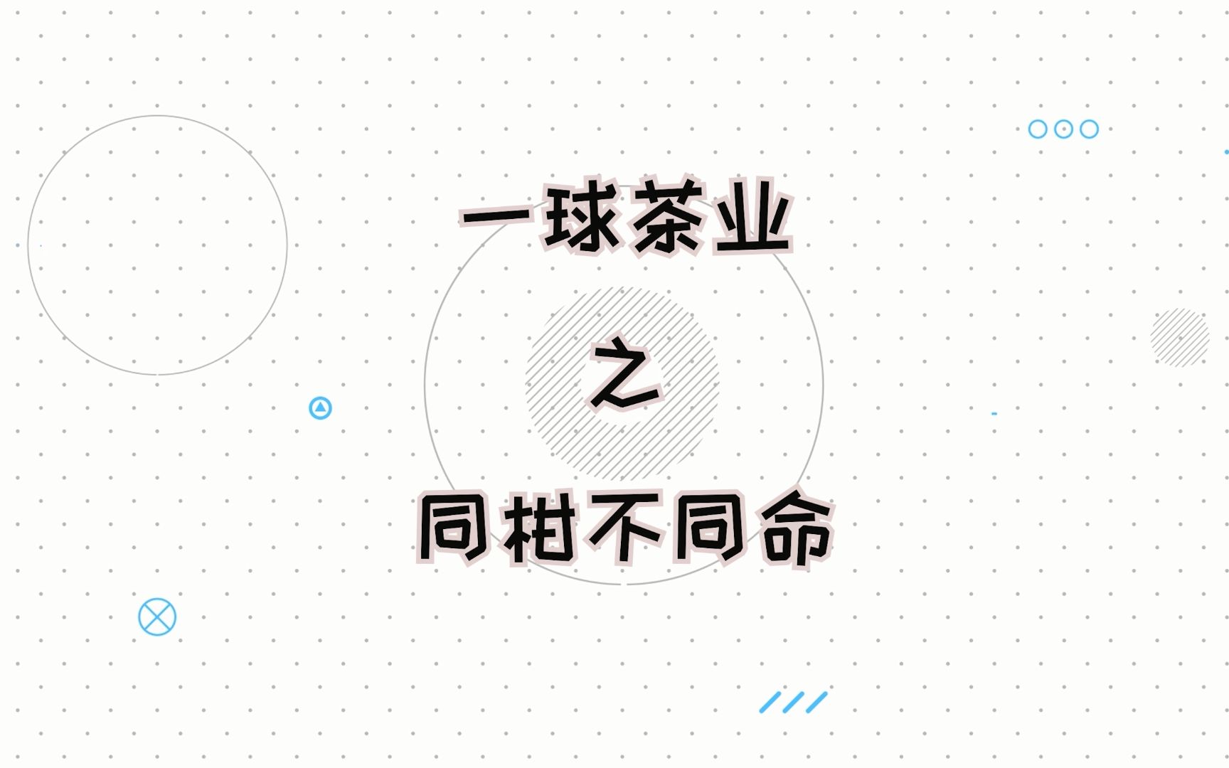 同柑不同命,新会柑到底好在哪里?哔哩哔哩bilibili