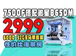 Download Video: 2999起，7500F搭配B650M主板加上6000频率32GB内存的性价比海景房主机配置推荐