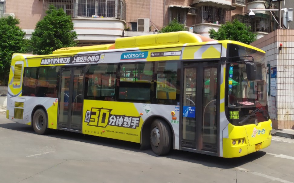 【广州公交pov】广州市新穗巴士有限公司244a路(汇侨新城总站
