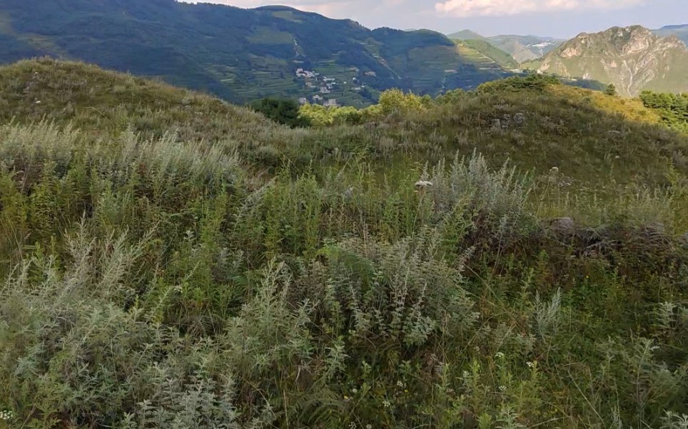 [图]山河解读云南地形，来脉蜿蜒隐伏，左砂挂榜清贵，前案娥媚秀丽