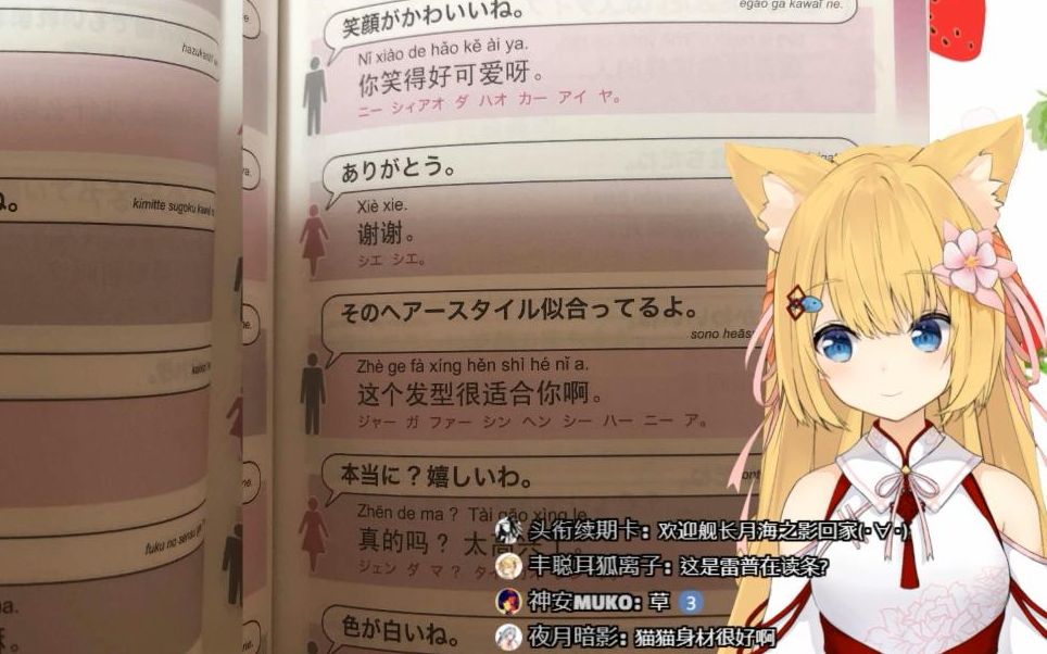 【花园serena】b限 猫猫学中文(dd学日文) 20200331生肉录像