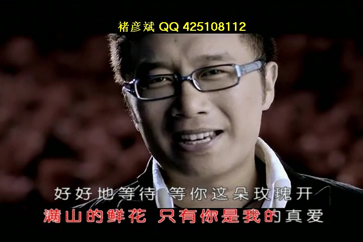 庞龙 你是我的玫瑰花
