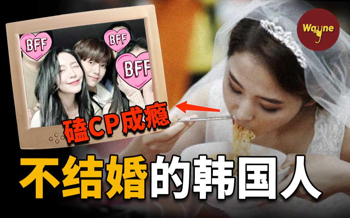 不恋爱不结婚还要搞“一人婚礼”,但对综艺里的CP却磕到上瘾,韩国人为什么都不结婚了?这期影片会不会让单身的你代入感满满?| Wayne调查哔哩哔...