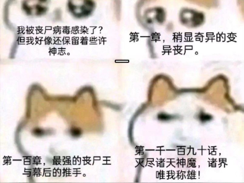 猫猫龙龙,龙龙猫猫哔哩哔哩bilibili