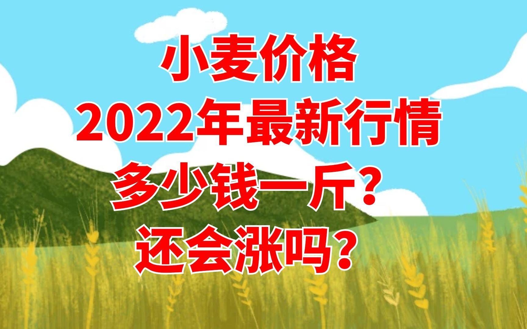 小麦价格2022年最新行情:多少钱一斤?还会涨吗?哔哩哔哩bilibili