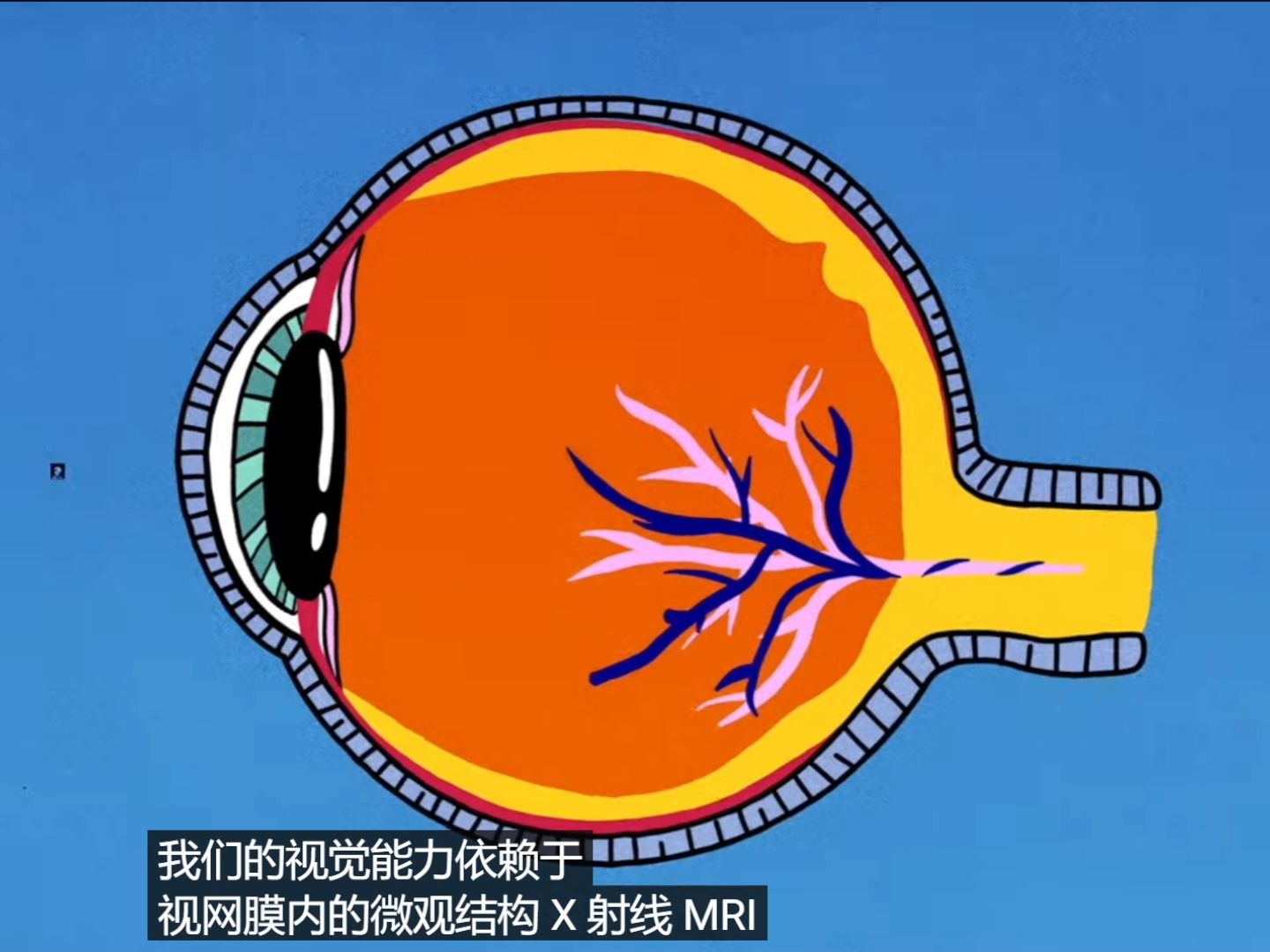 光学相干断层扫描(OCT):一种新的检测方法哔哩哔哩bilibili