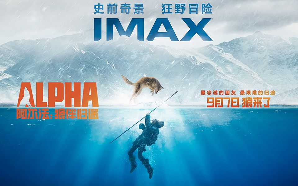 [图]《阿尔法：狼伴归途》IMAX3D全长预告【IMAX3D Alpha】