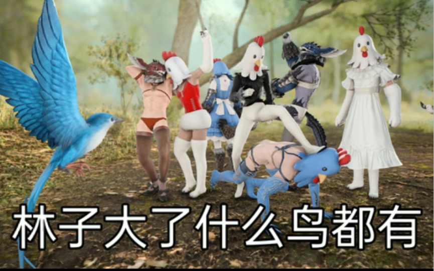 【ff14】X 图 来 的 迅 猛网络游戏热门视频