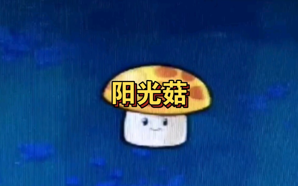 大图鉴—阳光菇