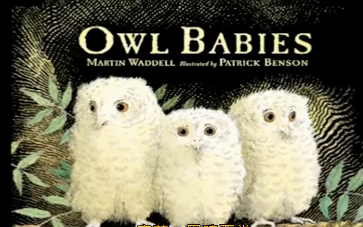 绘本动画|owl babies 小猫头鹰(双语字幕)哔哩哔哩bilibili