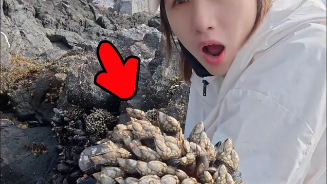 (密集恐惧症慎入)据说,这是世界上最鲜的海鲜。。