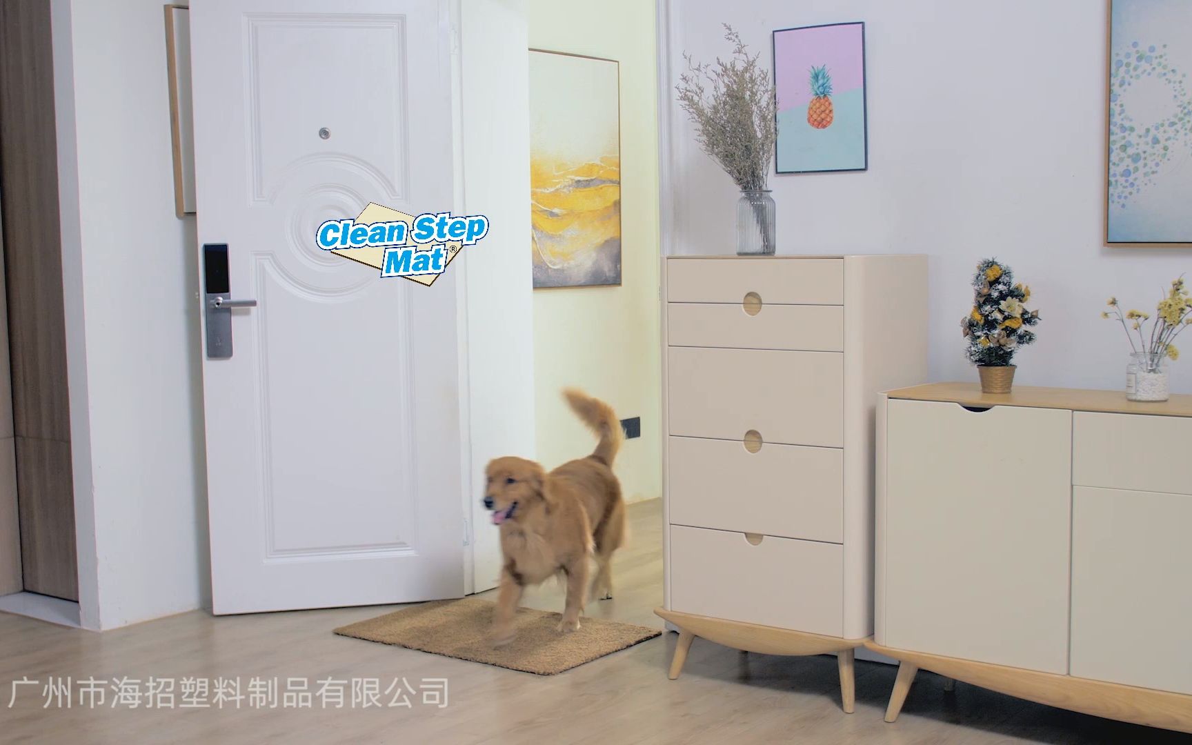 Clean Step Mat | Microfiber Mat 羊绵纤吸水垫哔哩哔哩bilibili