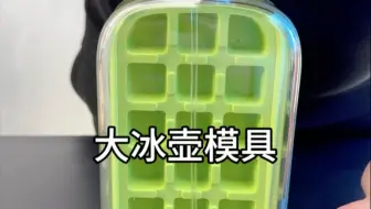 这个夏天很火的冰爽壶制冰格真的好用吗？#冰格模具 #制冰#冰块 #夏日必备