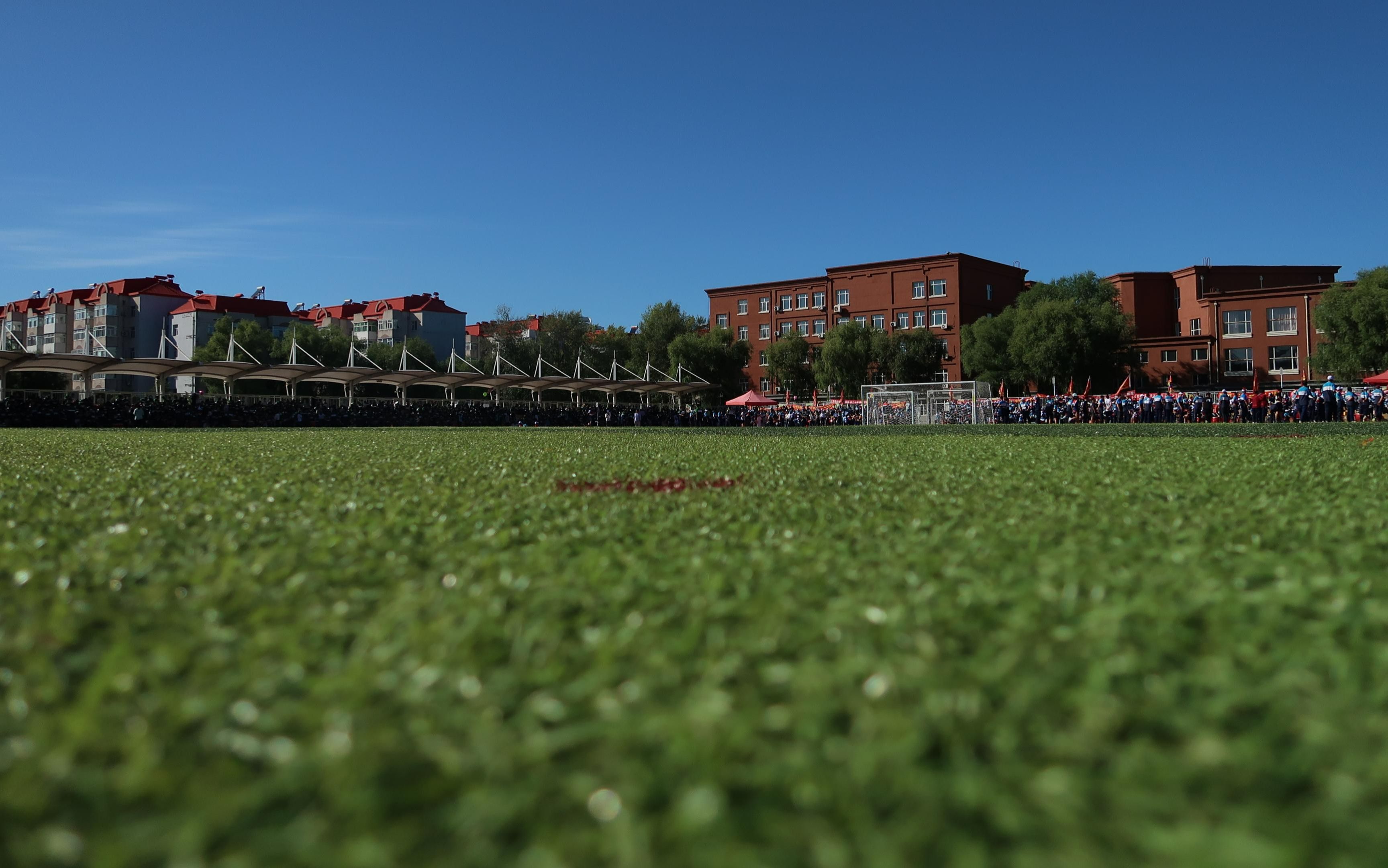 大庆一中高一四班运动会集锦