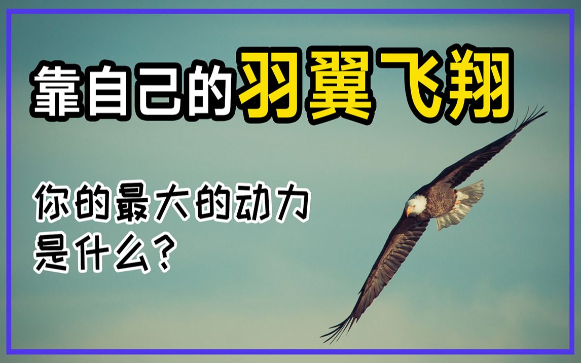 【暖心故事阅读/作文素材/人生哲理】靠自己的羽翼飞翔 | 你最大的动力是什么?哔哩哔哩bilibili