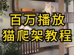 Download Video: 百万播放猫爬架教程