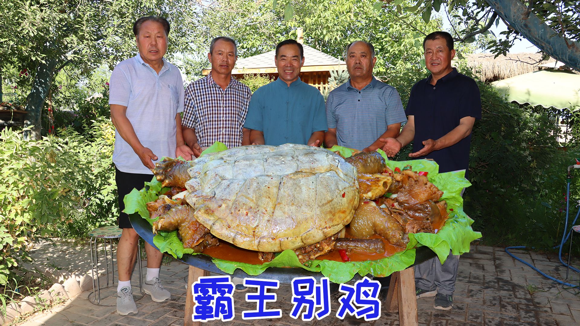 1只鳄龟,1只鸡,食叔做网红“霸王别鸡”,香气四溢,越吃越香哔哩哔哩bilibili