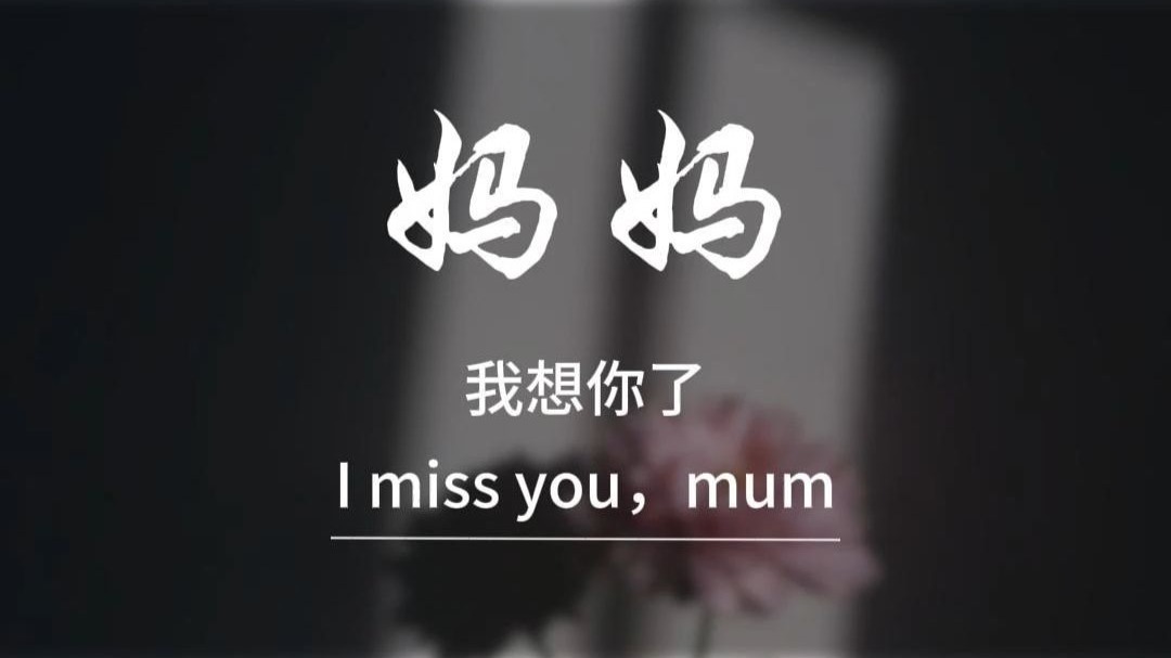 妈妈 我想你了