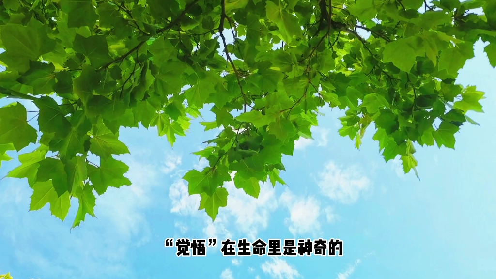 一个人到了三十岁,应该把所有的时间用来觉悟.