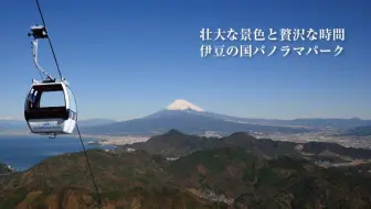 漫游日本 静冈县伊东市之旅伊豆高原樱花祭 仙人掌公园 水豚温泉 小室山观光缆车 森林镶嵌美术馆 海女屋海上亭 伊东玛琳城 哔哩哔哩 Bilibili