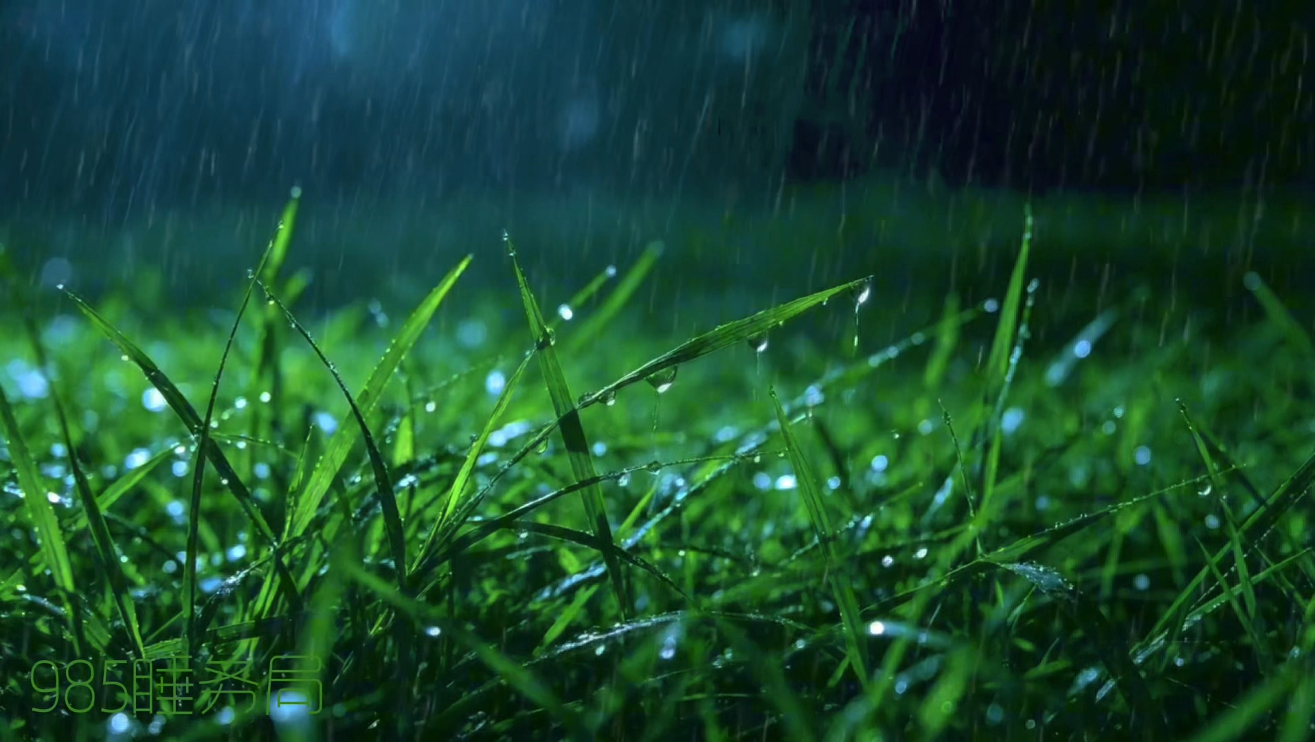 世界公认最佳放松雨声，432Hz雨声白噪音，大自然原生态声响，快速入眠，舒缓神经，读书备考，静心放空，抚平疲惫，缓解压抑情绪，助眠雨声，深度睡眠，失眠解压白噪音