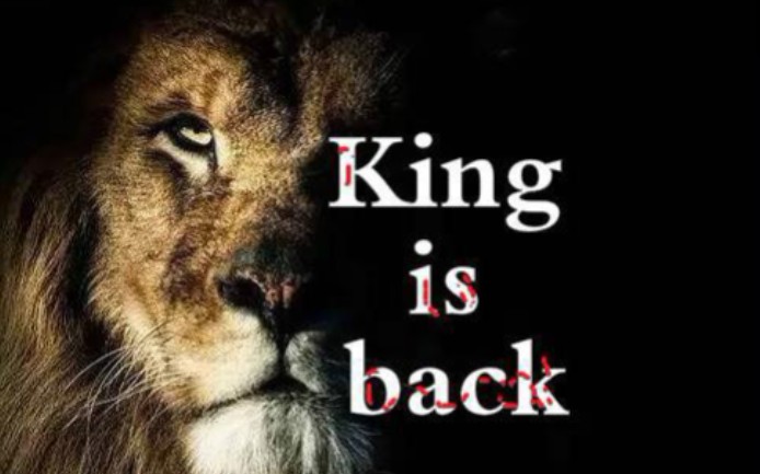 原创超炸单曲kingisback