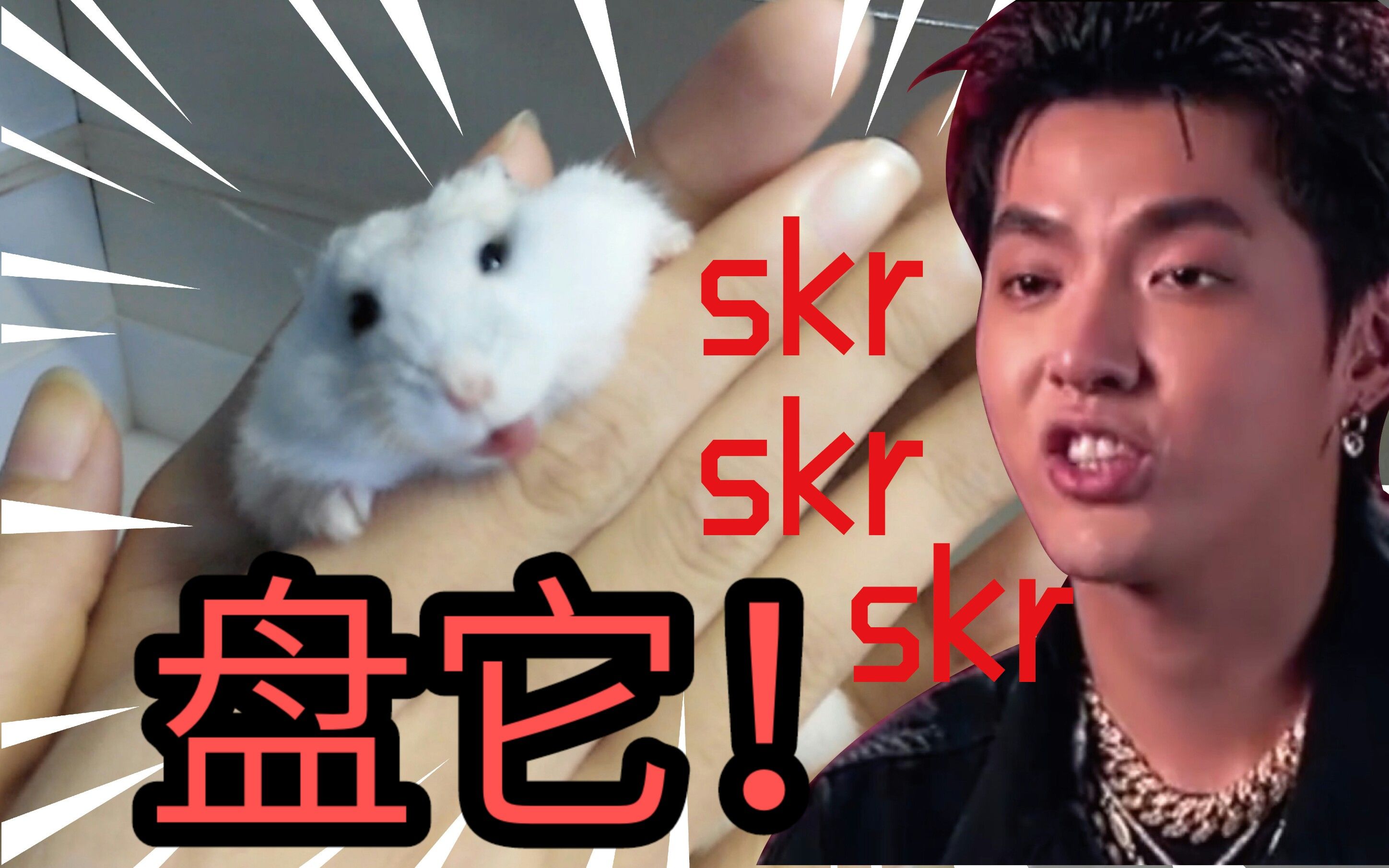 SKr搜索引擎_搜索引擎 ask SKr搜刮引擎_搜刮引擎 ask（搜刮是什么意思啊） 神马词库