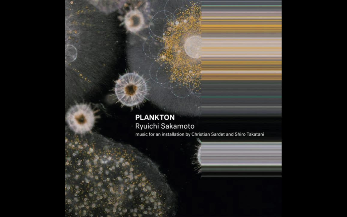 坂本龙一《PlanktonPlankton》哔哩哔哩bilibili