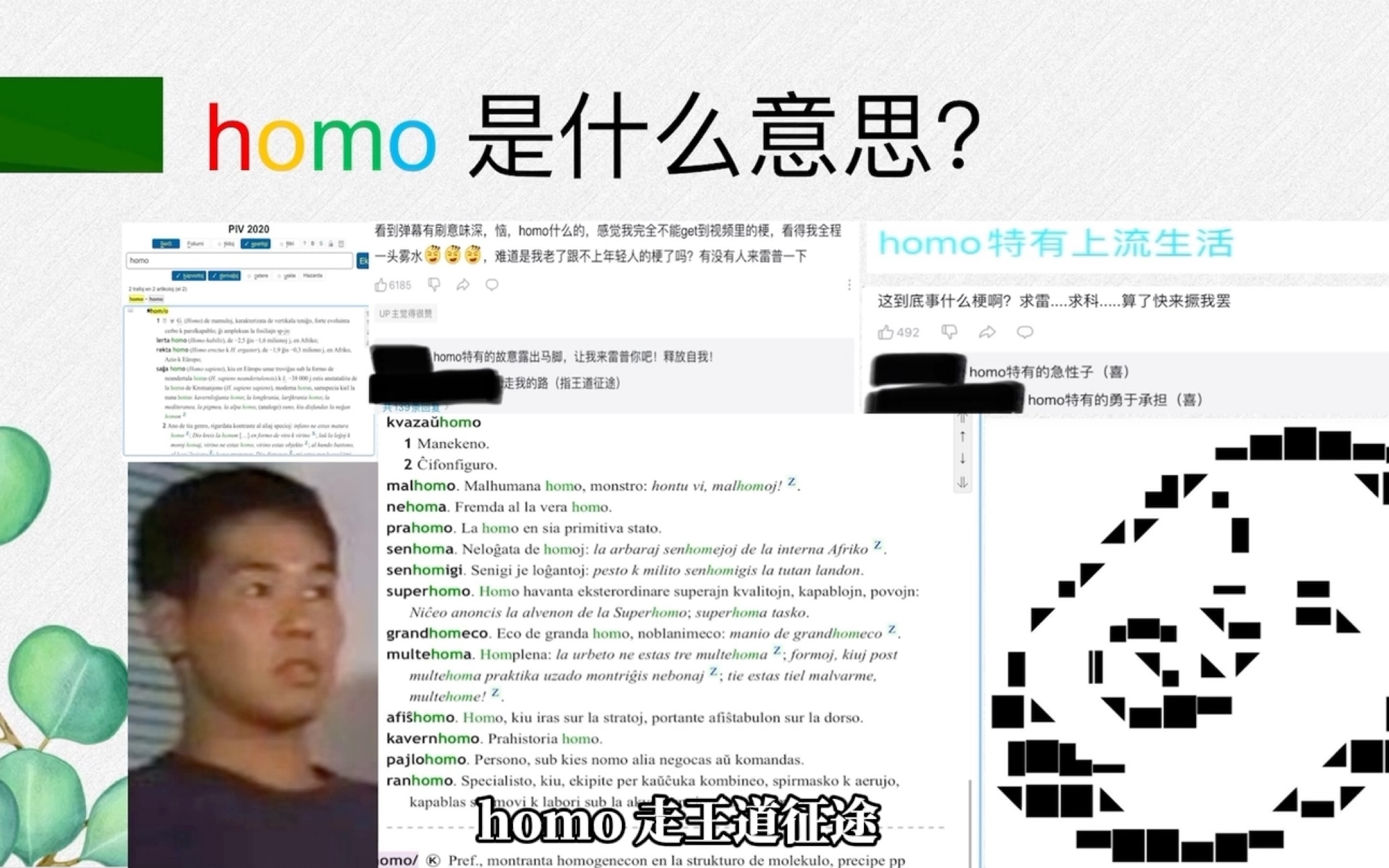 homo是什么意思?哔哩哔哩bilibili