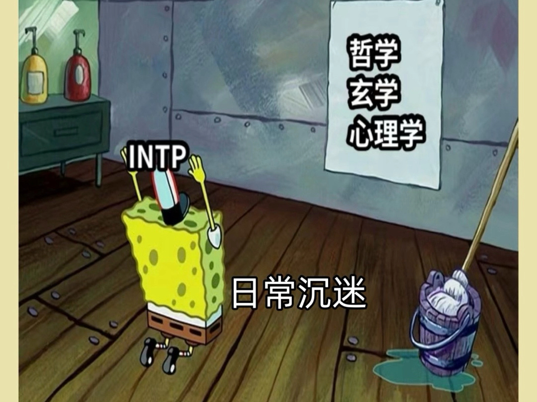 intp冷知识哔哩哔哩bilibili