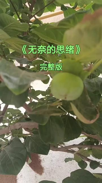 [图]孤单独自在夜里 身边掠过茫茫的风雨 心里的记忆 只剩模糊和迷离 风不停吹过去 雨洒落我心底 只有平添无奈的思绪 从此两分离 从此千万里 留下黑夜缠绵的思绪 无奈