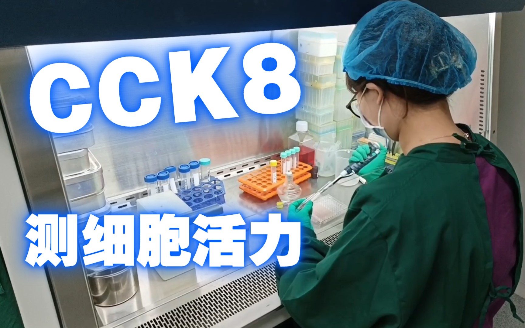 【实验室日常】导师当院士这事需要每天努力!| CCK8检测细胞活力哔哩哔哩bilibili