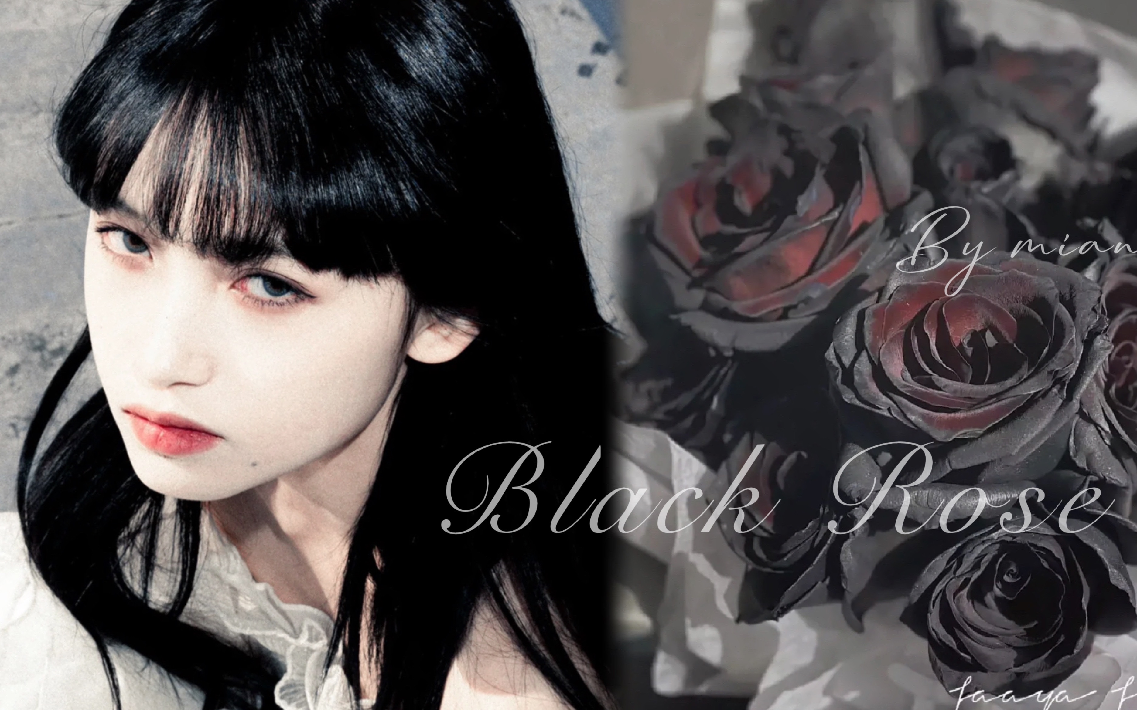 「黑玫瑰」Black Rose𐟖䠦ž致美女氛围哔哩哔哩bilibili