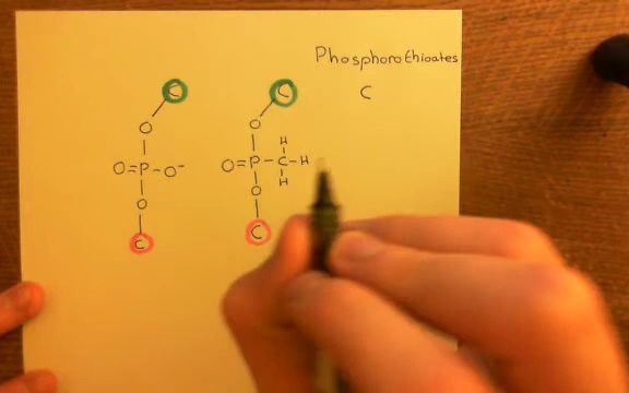 【反义寡核苷酸|ASO】Antisense Oligonucleotides Part 4哔哩哔哩bilibili