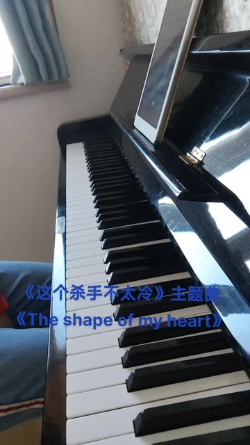 [图]《这个杀手不太冷》主题曲《The shape of my heart》