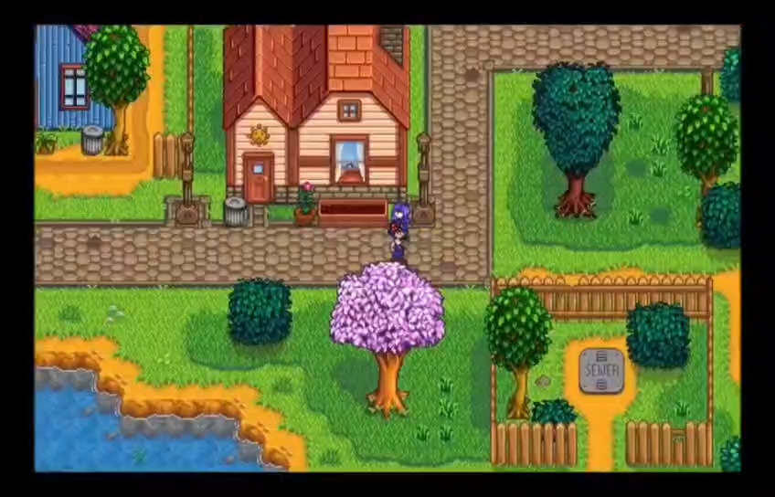【免费玩 看简介】星露谷物语 stardew valley mod