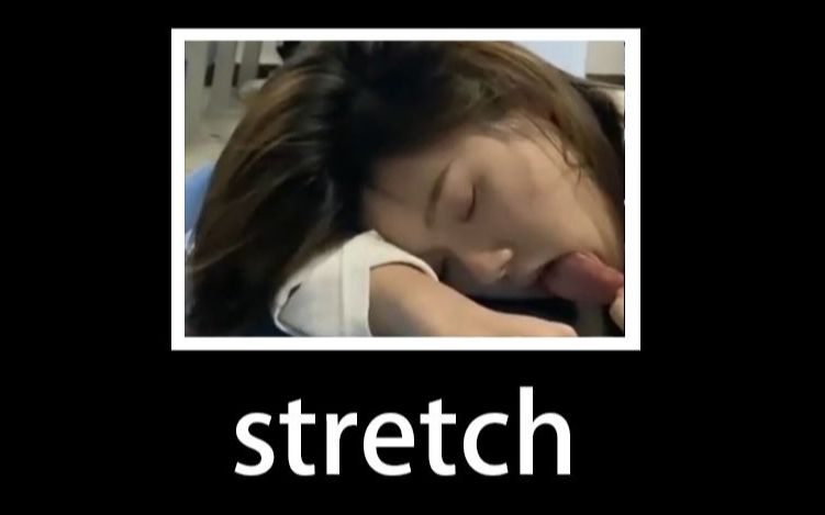 stretch:拉长, 伸出, 伸长哔哩哔哩bilibili