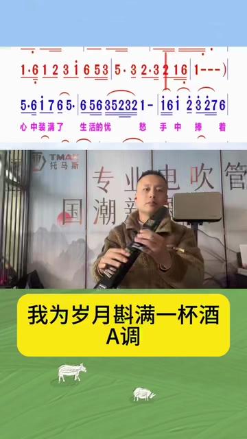 我为岁月斟满一杯酒 电吹管a调动态谱