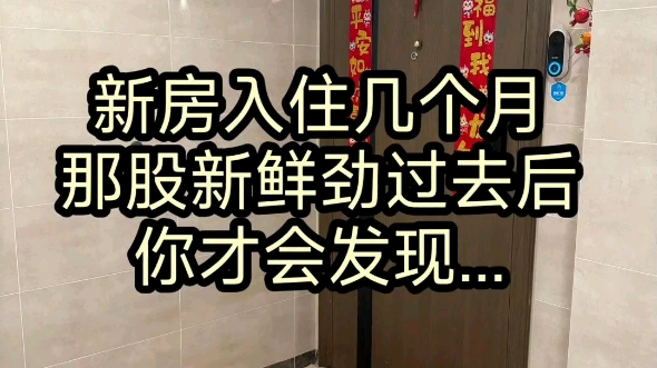 新房装修入住几个月,那股新鲜劲儿过去后你才会发现哔哩哔哩bilibili