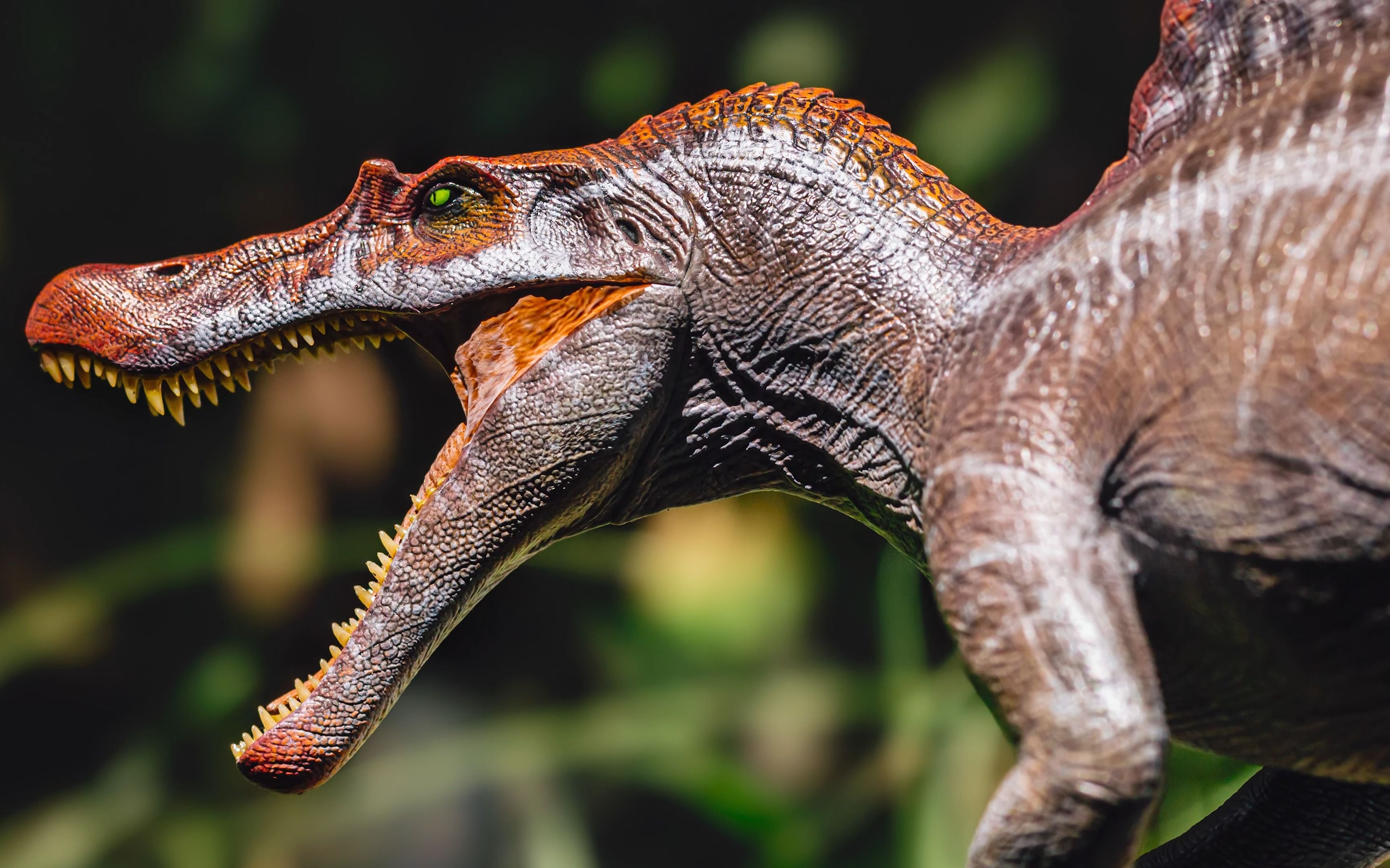 本心楠改 巴西小哥开箱 spinosaurus supplanter 2 0 - jurassic