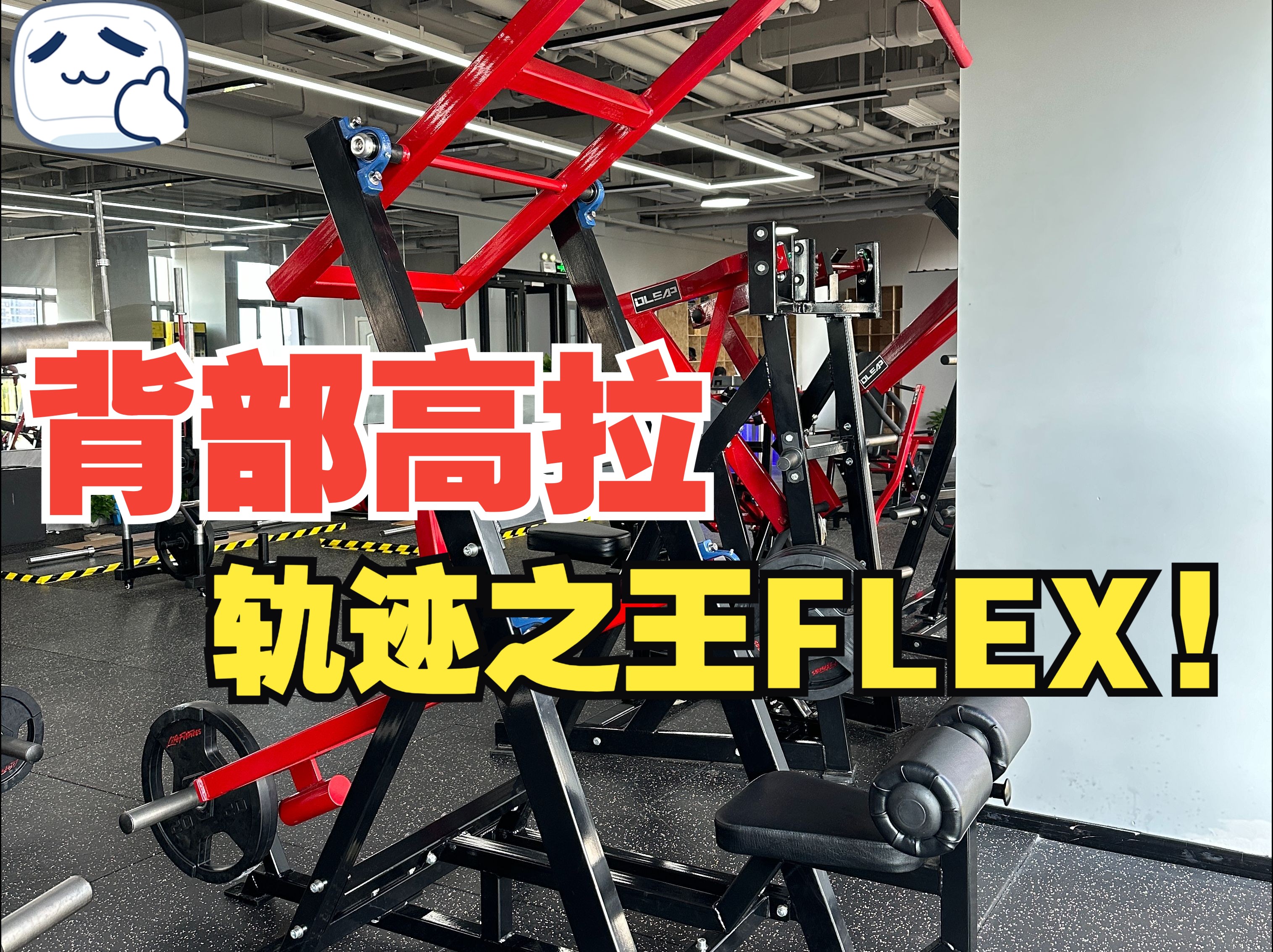 FLEX前手高拉背哔哩哔哩bilibili