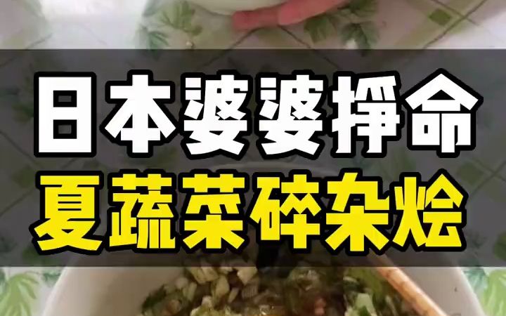 日本婆婆“挣命”料理,夏季时令蔬菜碎杂烩哔哩哔哩bilibili