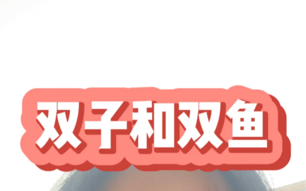 双子座和双鱼座为什么是天生一对?哔哩哔哩bilibili