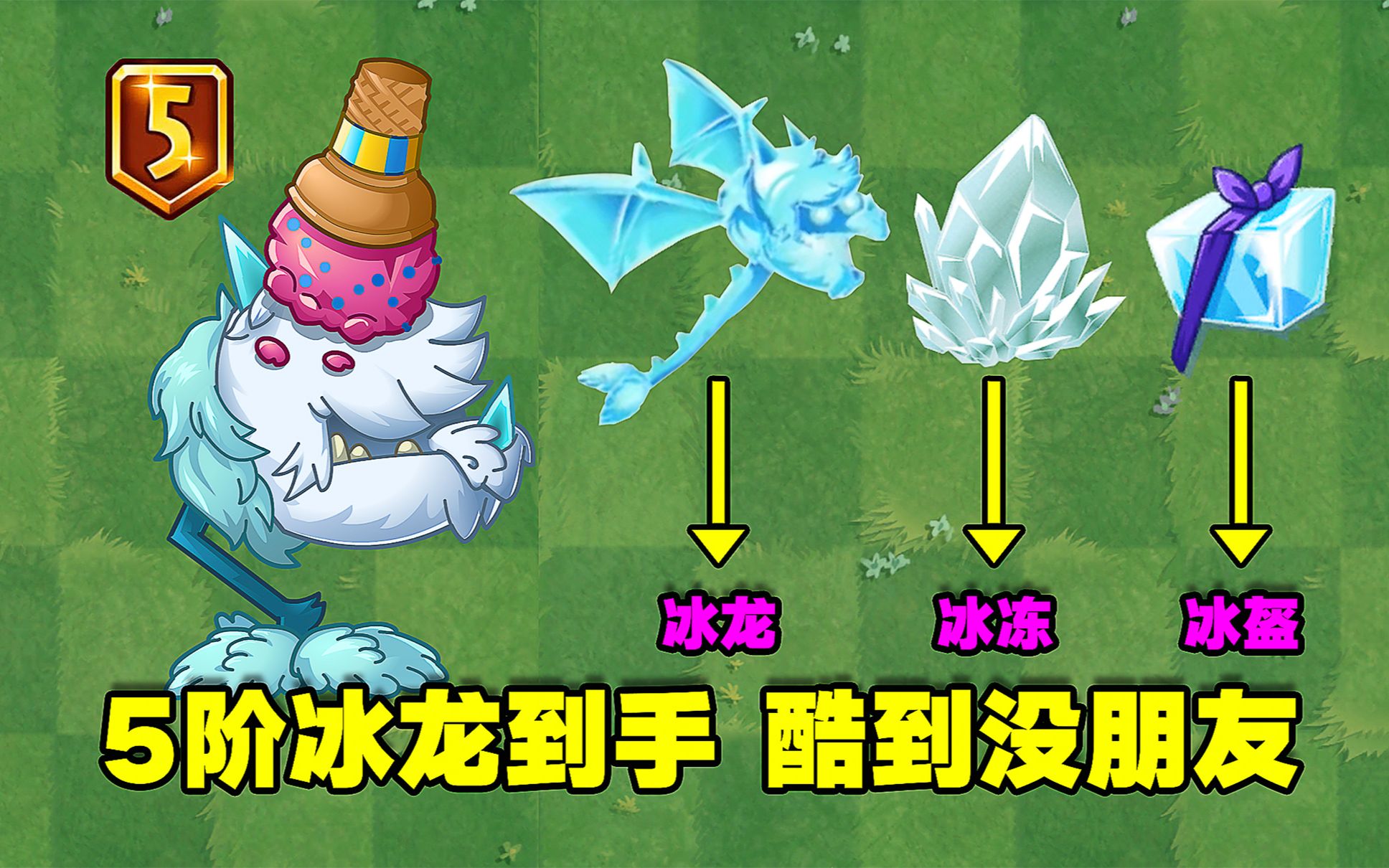 pvz成长史:冰龙草终于5阶!伤害高,控场强!真的很厉害!