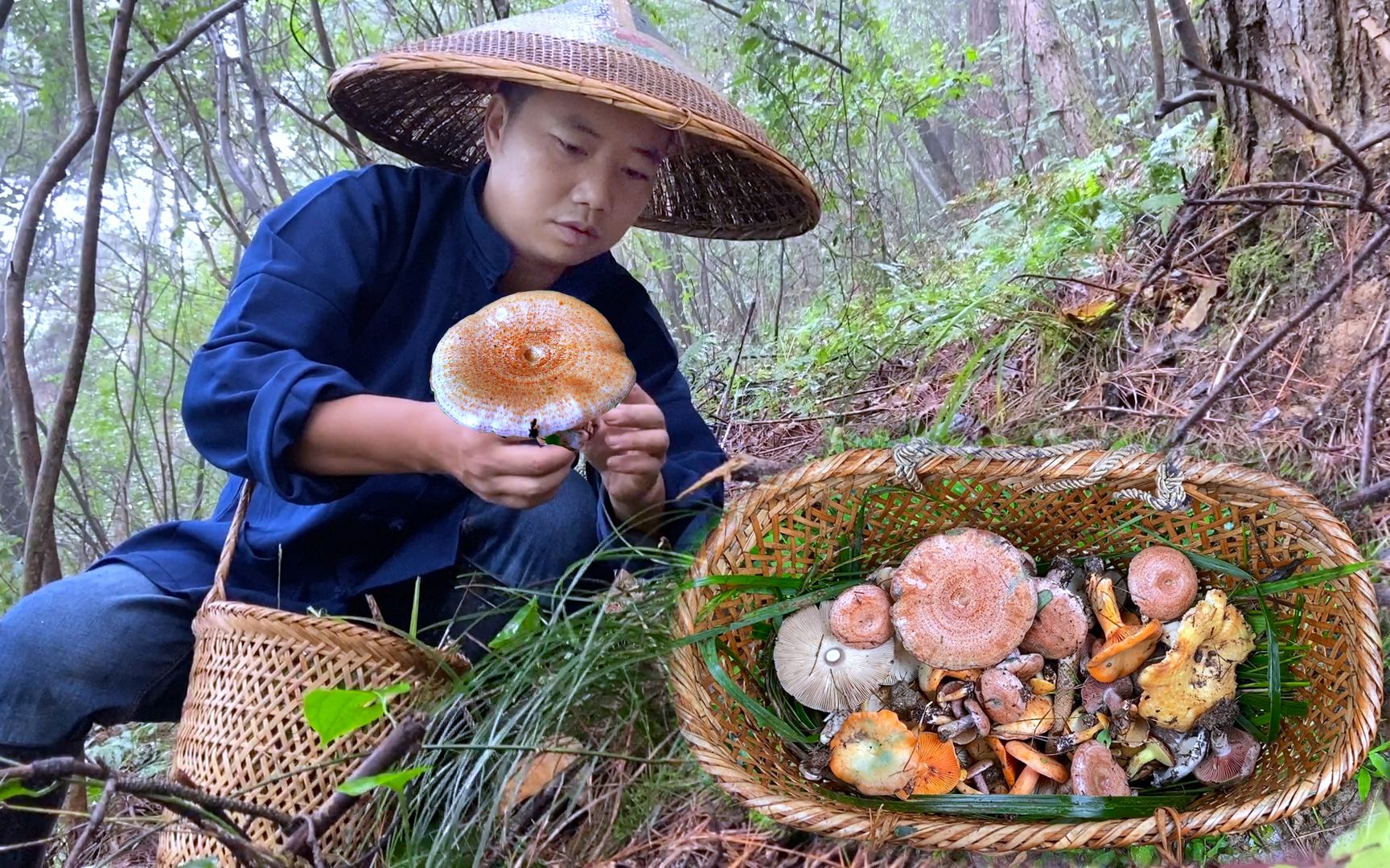 寻找湘西山珍美食乌枞菌,有钱也难买到,阿哥却捡了一篮子哔哩哔哩bilibili