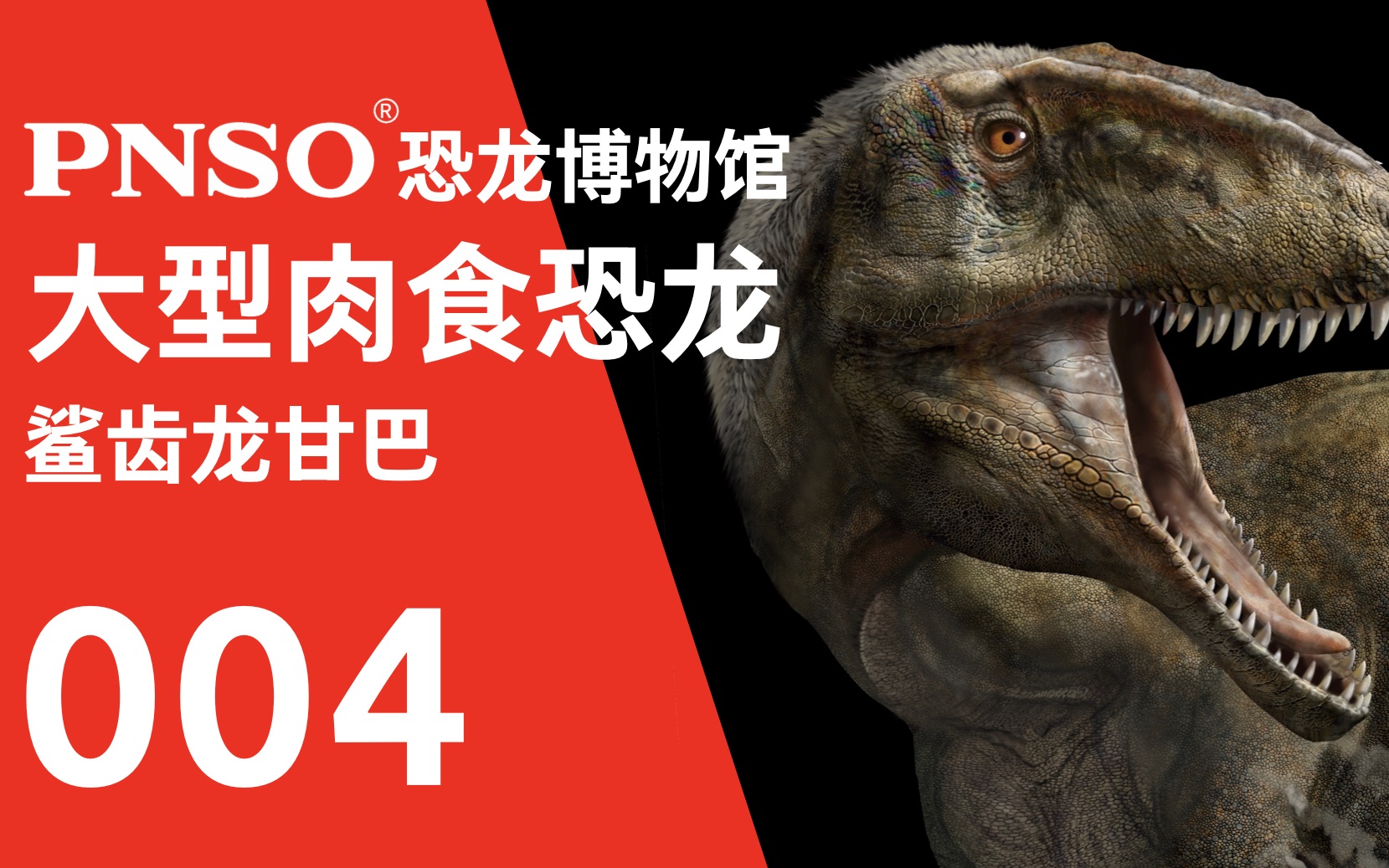 pnso恐龙博物馆| 三分钟带你认识一种恐龙——鲨齿龙甘巴
