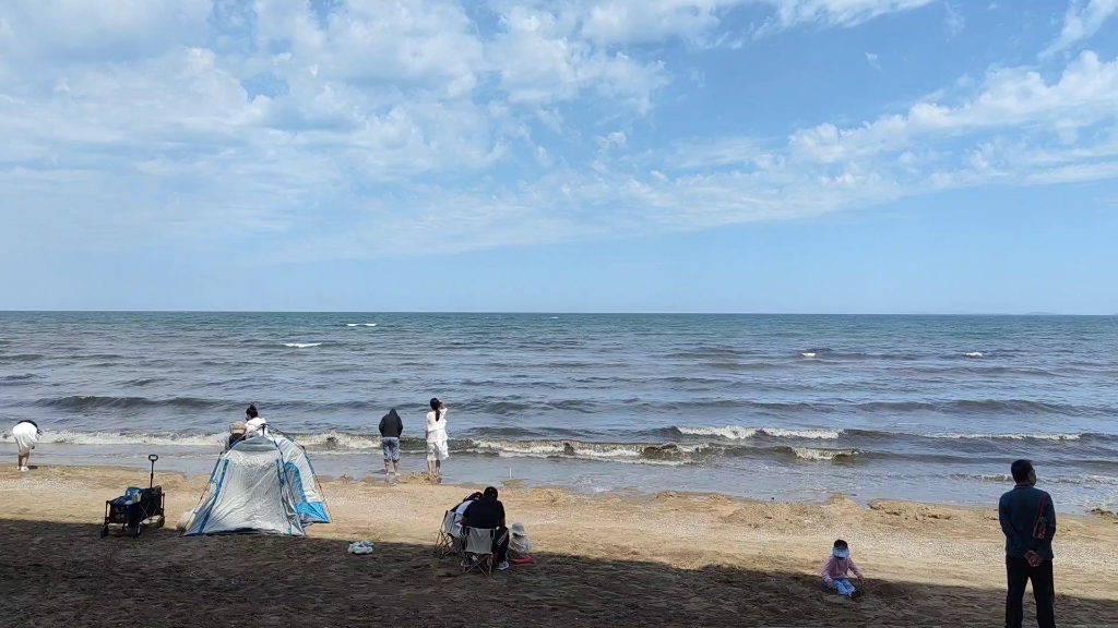 2023年6月4日于大连夏家河子景区