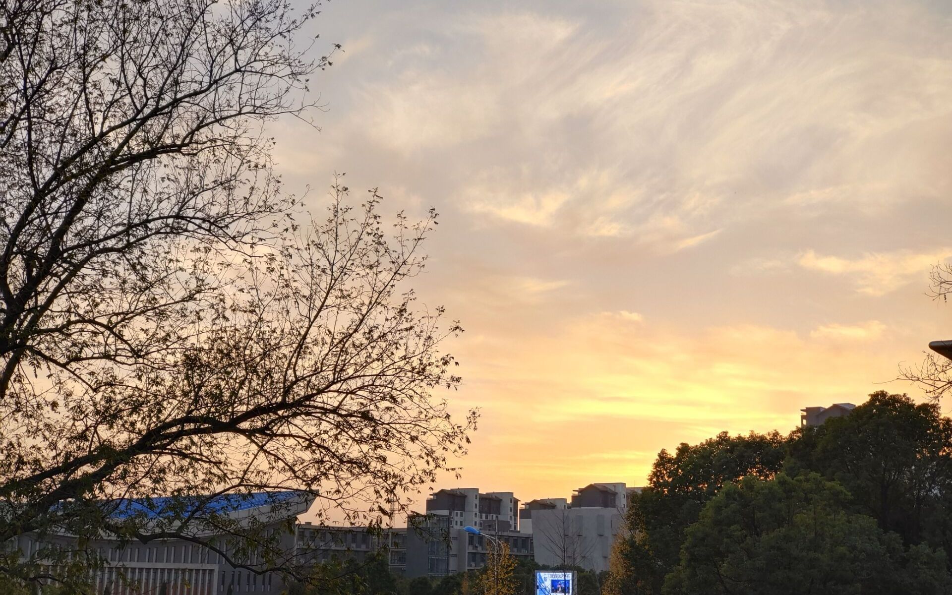 《依然阳光》大学生情景剧(安徽科技学院食品工程学院心理情景剧)哔哩哔哩bilibili